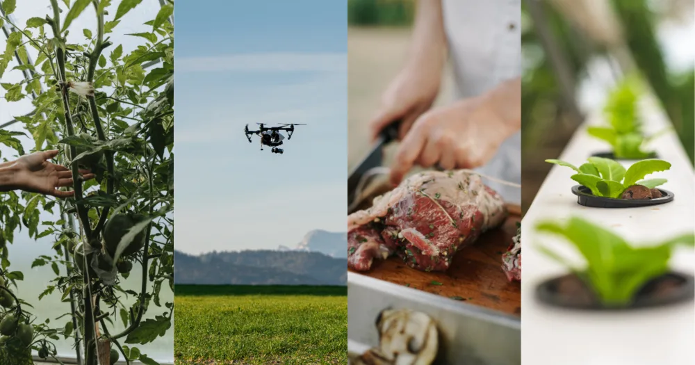2022 Agriculture Investment Trends