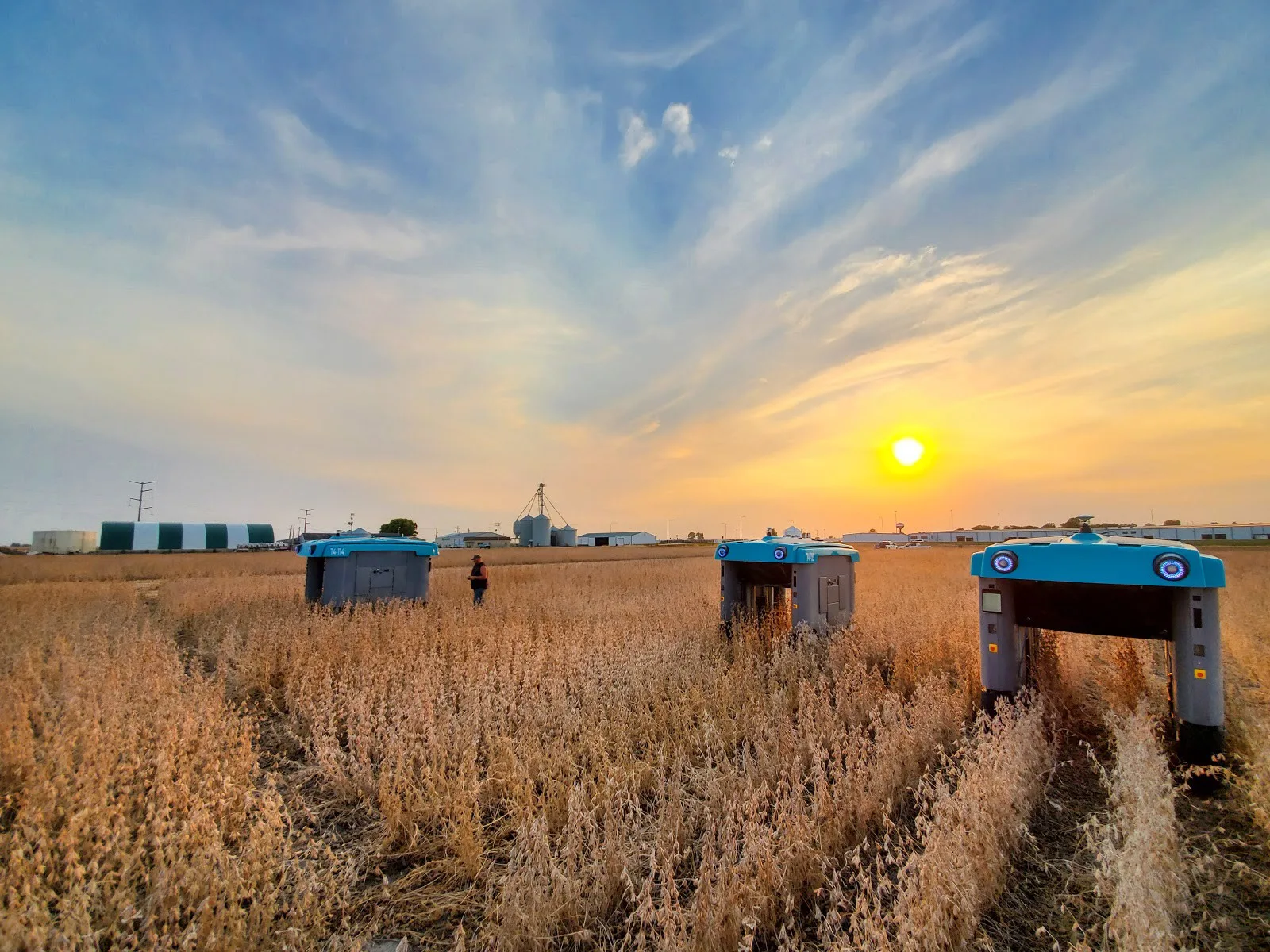 Farming with rocks and minerals: challenges and opportunities