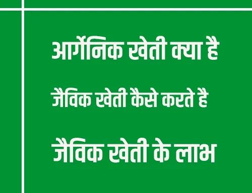 ऑर्गेनिक या जैविक खेती करने से सम्बंधित जानकारी
