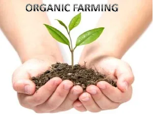 जैविक खेती से होने वाले लाभ  (Organic farming Benefits):