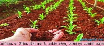जैविक खेती करने के तरीके (Organic farming methods):