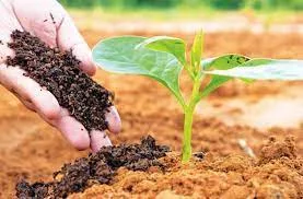 Organic Farming in Hindi: जैविक खेती किसे कहते हैं, जैविक खेती के लाभ, जैविक खेती के बारे में जानकारी, 2022