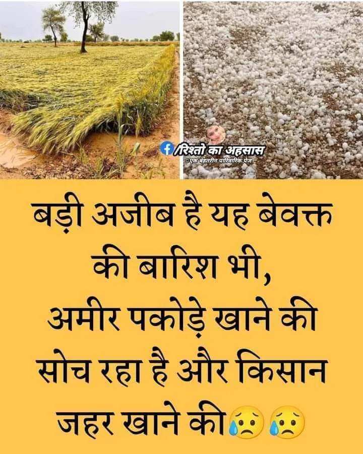 किसान 
