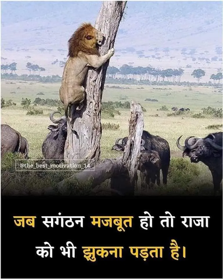 Bhartiya Kisan union Bhanu jindabad 